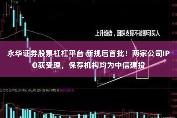 永华证券股票杠杠平台 新规后首批！两家公司IPO获受理，保荐机构均为中信建投