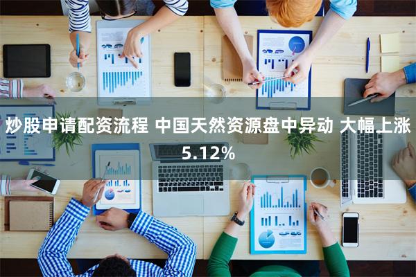 炒股申请配资流程 中国天然资源盘中异动 大幅上涨5.12%