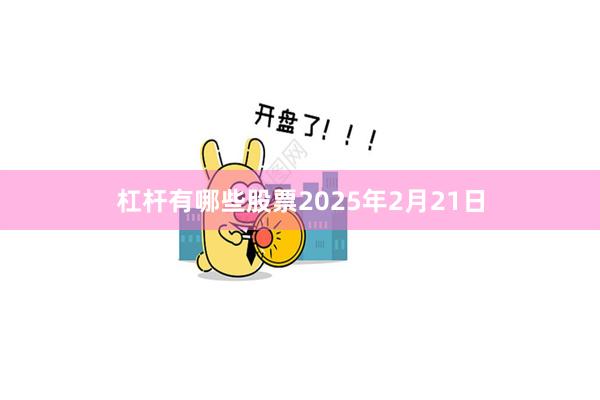 杠杆有哪些股票2025年2月21日