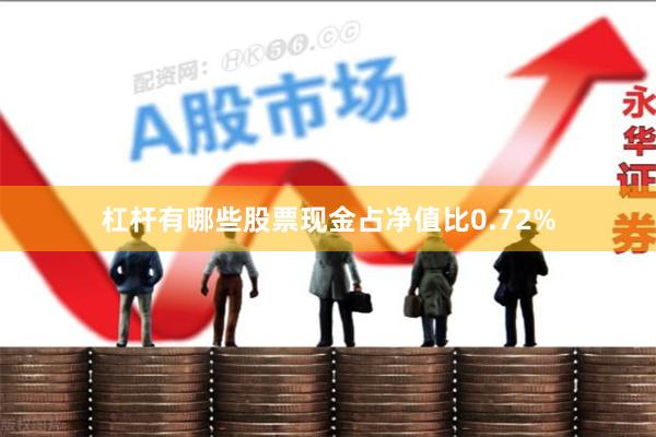 杠杆有哪些股票现金占净值比0.72%