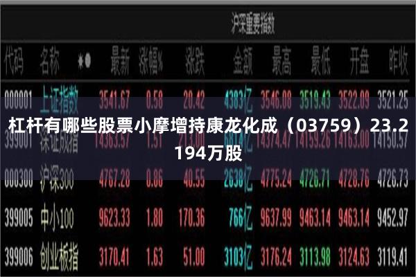 杠杆有哪些股票小摩增持康龙化成（03759）23.2194万股