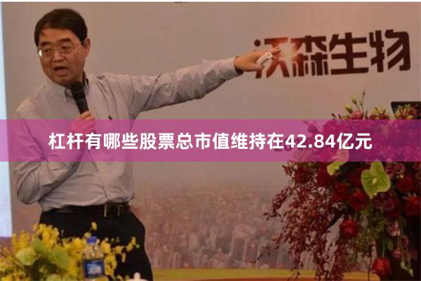 杠杆有哪些股票总市值维持在42.84亿元