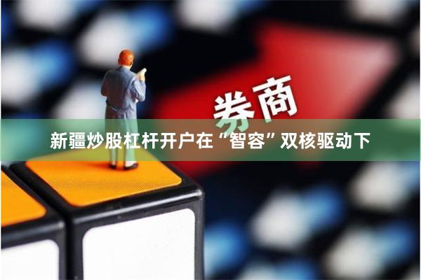 新疆炒股杠杆开户　　在“智容”双核驱动下