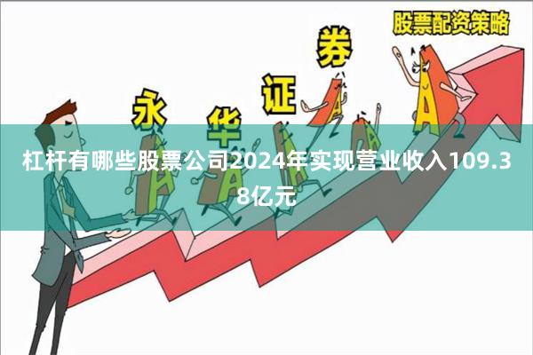 杠杆有哪些股票公司2024年实现营业收入109.38亿元