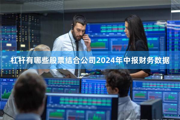 杠杆有哪些股票结合公司2024年中报财务数据